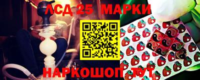 spice Пенза