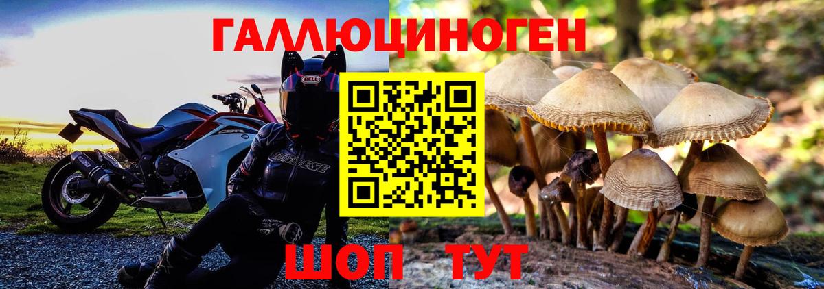 купить   Вход с VPN  Спасск-Дальний  Псилоцибиновые грибы прущие грибы 